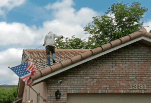 WashPro Florida Pressure Washing Services - roof cleaning- Soft Wash Broward County
