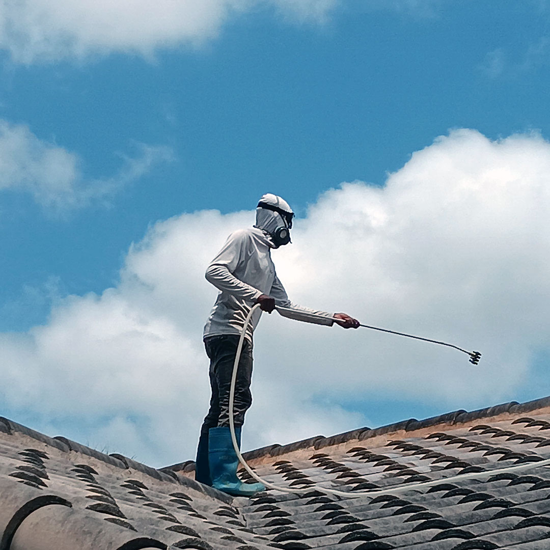 Services WashPro Driveways WashPro Florida The Best Pressure Cleaning Services in Broward County